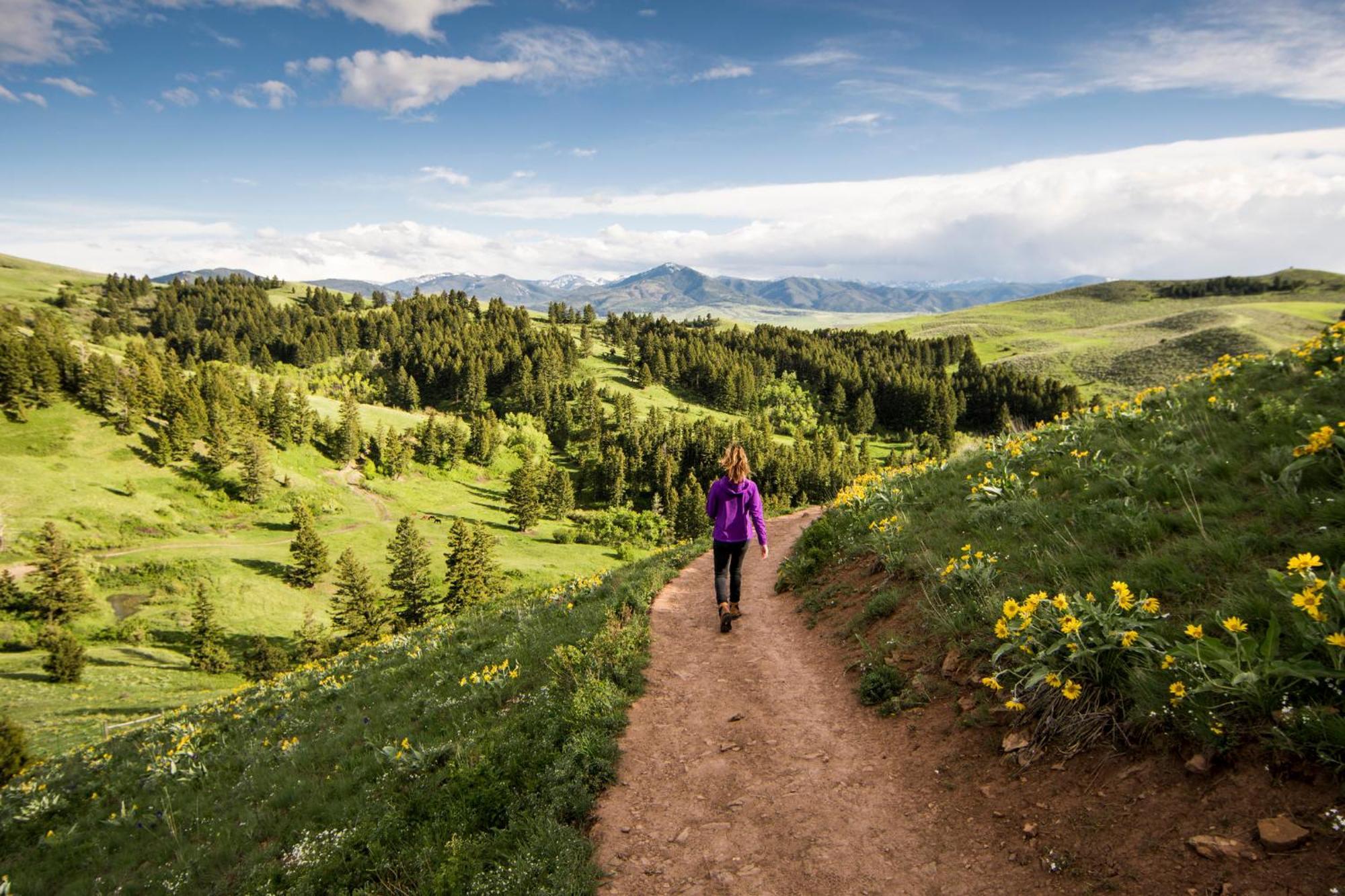 Even Hotel Bozeman Yellowstone Intl Arpt By Ihg بلغراد المظهر الخارجي الصورة